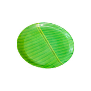 banana leaf plate 10