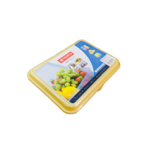 lionstar plastic container