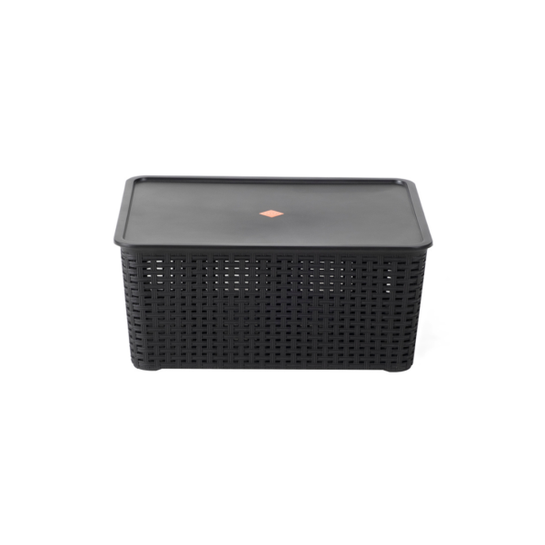 Phoenix Deco Box 10L